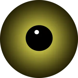 Cat's right eye